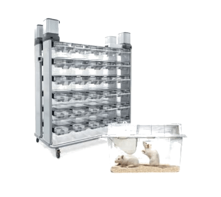 Individually Ventilated Cages australia