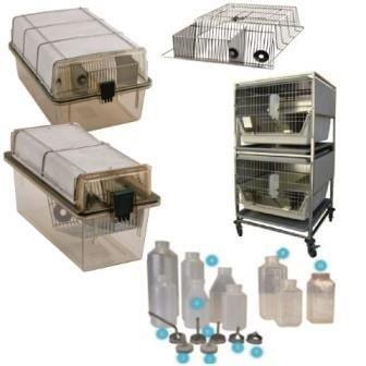 rodent and rabbit cages